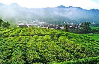 9月2日，財政部、稅務(wù)總局發(fā)布了關(guān)于繼續(xù)執(zhí)行邊銷茶增值稅政策的公告